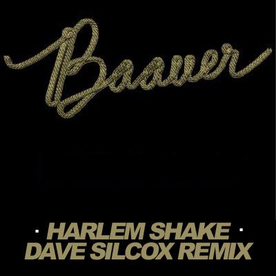 Baauer - Harlem Shake (Dave Silcox Remix) [Free Download]