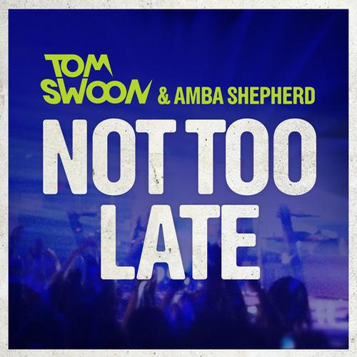 Tom Swoon & Amba Shepherd - Not Too Late (Maor Levi Remix)