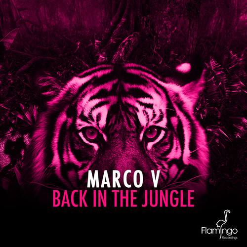 Marco V - Back In The Jungle (Original Mix)