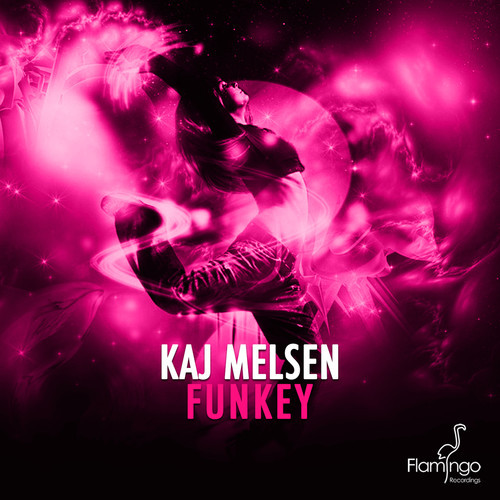 Kaj Melsen - Funkey (Original Mix)