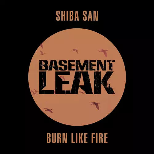Shiba San - Burn Like Fire (Original Mix)