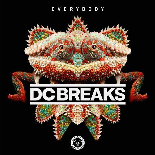 DC Breaks - Everybody (Original Mix)